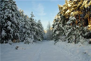 《小缇娜的奇幻之地》IGN 23分钟演示放出