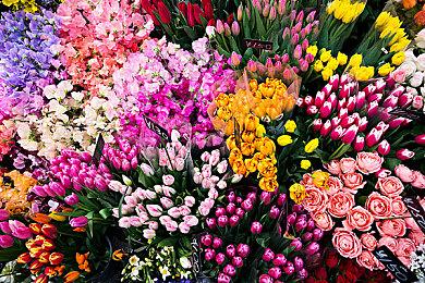 《宝可梦：大集结》国服宣布付费删档测试 6月中旬开启